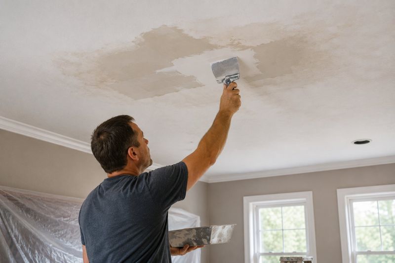 Ceiling Leak Repair Service in Conroe, TX